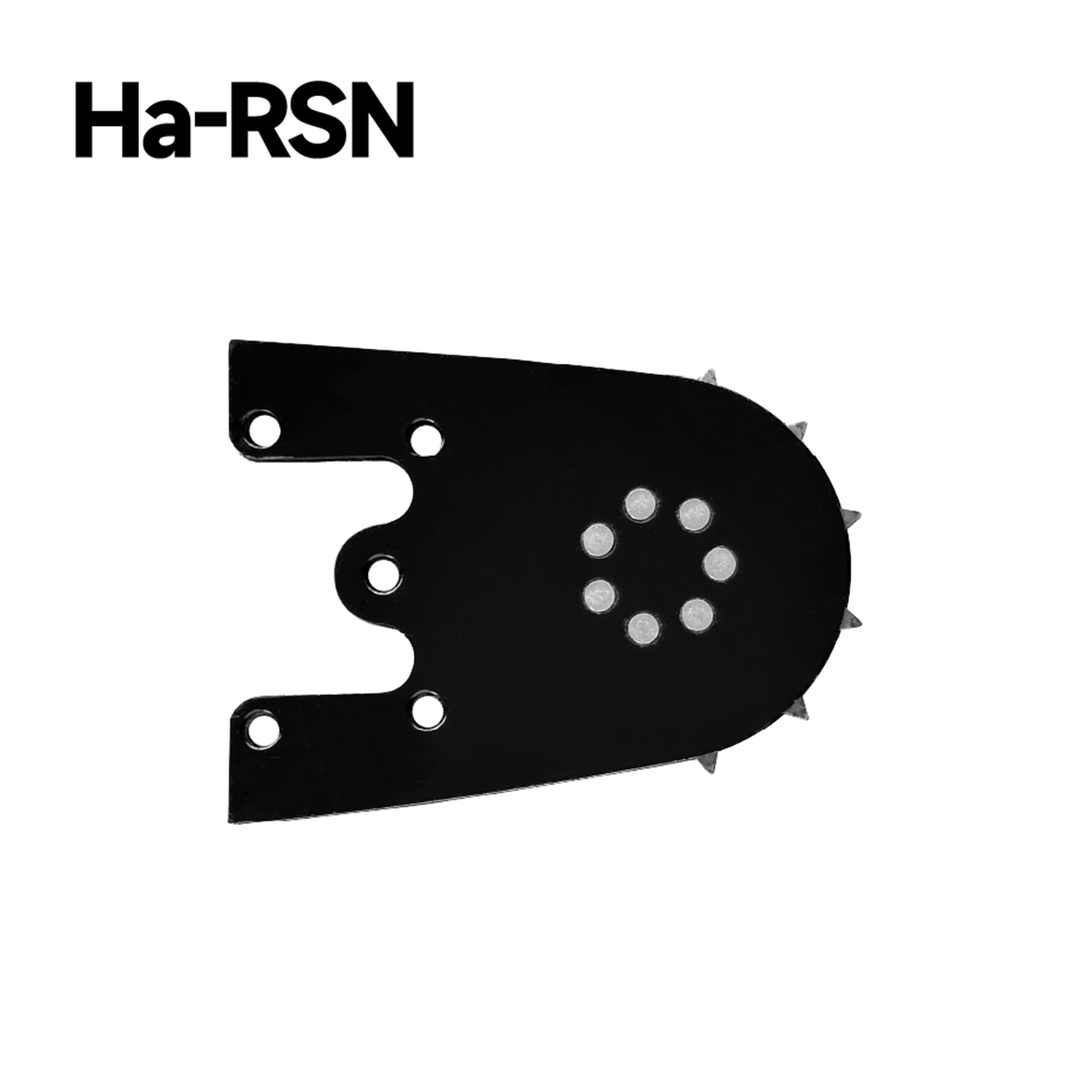 Ha-RSN-XII
