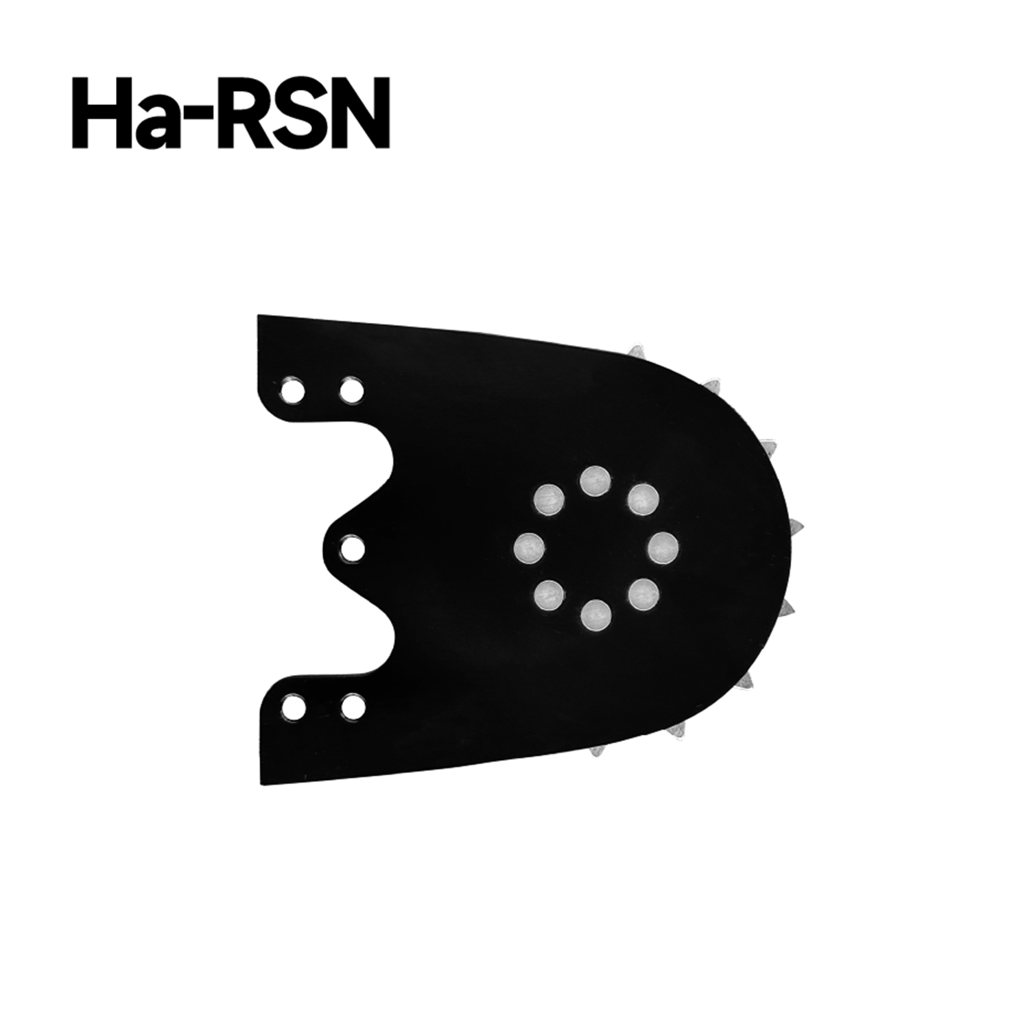 Ha-RSN, XV